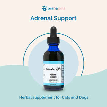 Prana Pets Adrenal Support for Cushing's Disease Adrenal Support