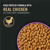 Purina Pro Plan All Ages Sport Performance 30/20 Chicken & Rice Formula Dry Dog Food