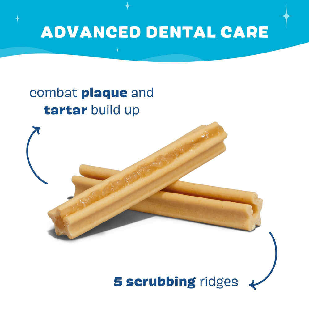 BARK Bright Original Dental Chew Sticks for Dogs
