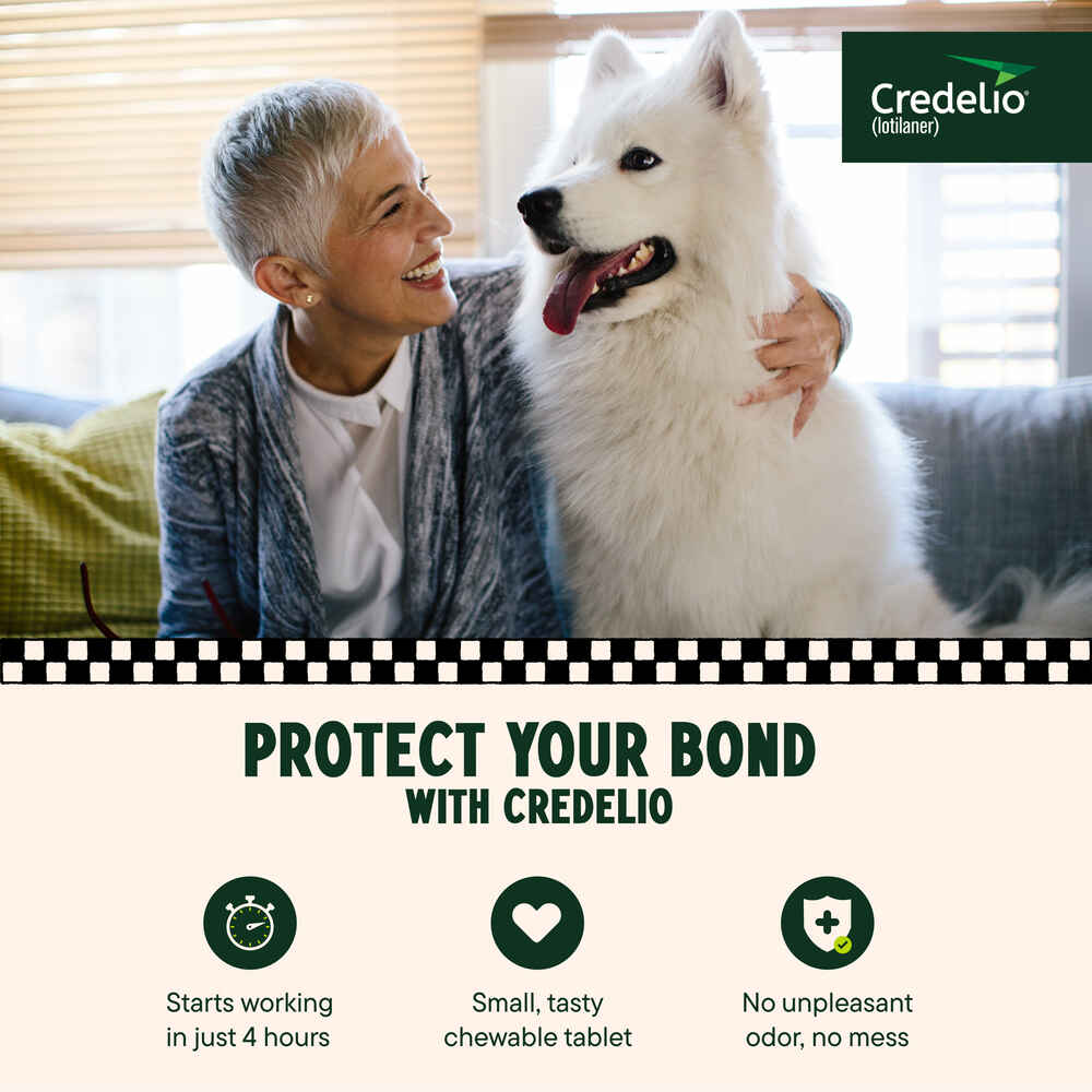 Credelio Chewable Tablet 50.1100 lbs 6 pk