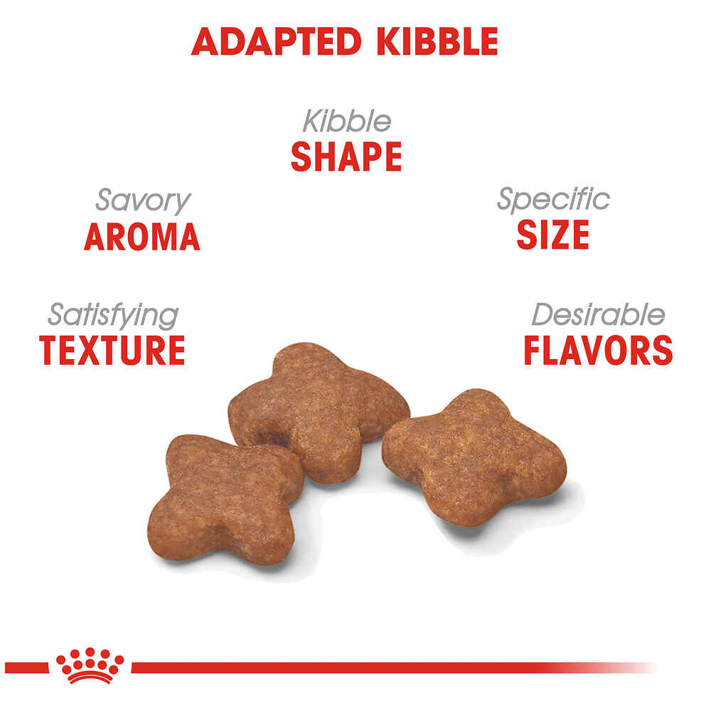 Royal Canin Size Health Nutrition Small Breed Adult 8+ Dry Dog Food