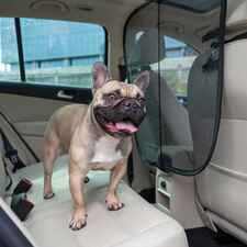 PetSafe Front Seat Net Pet Barrier-product-tile