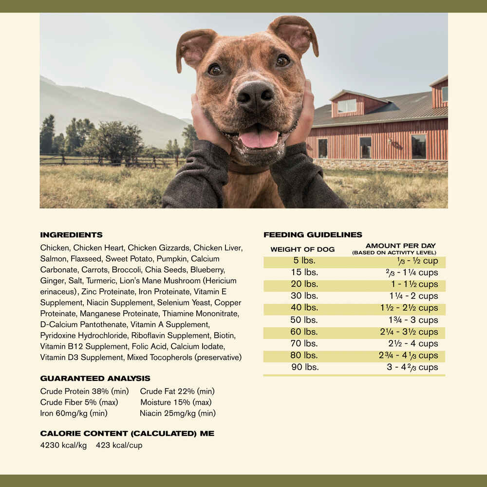Badlands Ranch Superfood Complete Chicken Formula Air Dried Dog Food