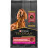 Purina Pro Plan Adult Sensitive Skin & Stomach Lamb & Oat Meal Formula Dry Dog Food