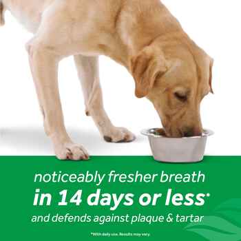 TropiClean Fresh Breath Water Additve Plus Digest Support for Dogs 16 oz