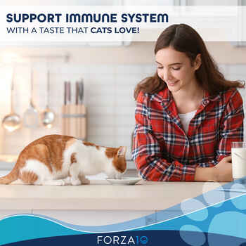 Forza10 Nutraceutic Active Immuno Immune System Support Diet Dry Cat Food 4 lb Bag