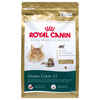 Royal Canin Maine Coon 31 Dry Cat Food