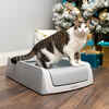 PetSafe ScoopFree Crystal Pro Self-Cleaning Cat Litter Box