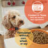 Canidae All Life Stages Less Active Chicken, Turkey, & Lamb Meal Formula Dry Dog Food 15 lb Bag