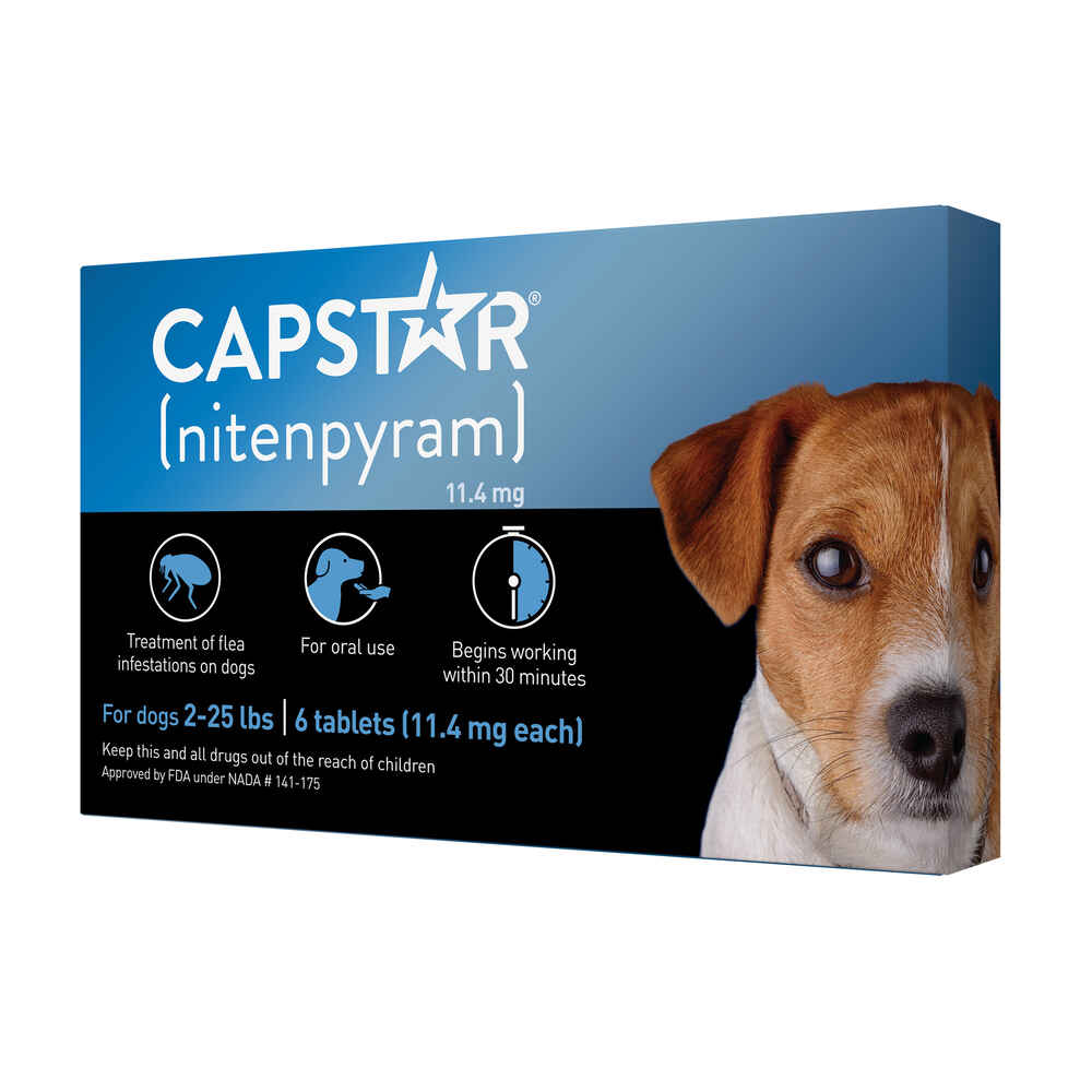 Ask A Vet Capstar Flea Tablet Review 2023 Pros, Cons, 45 OFF