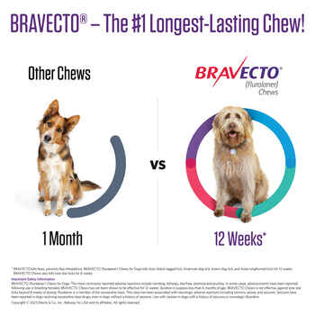 Bravecto Chews 2 Dose Small Dog 9.9-22 lbs
