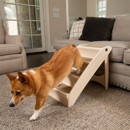 pupstep plus pet stairs