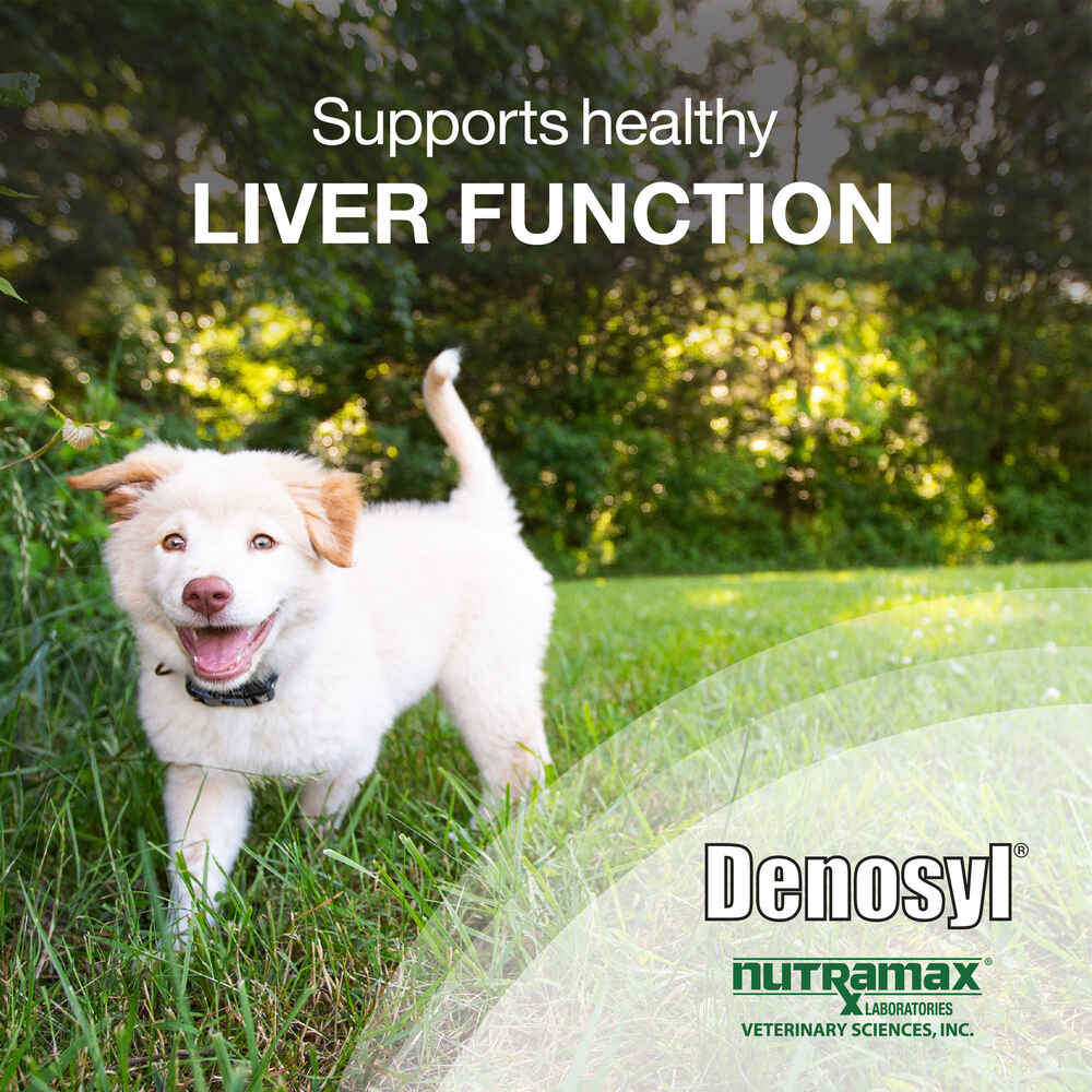 Nutramax Denosyl Liver and Brain Health Supplement, With S-Adenosylmethionine (SAMe)