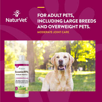 NaturVet Glucosamine DS Plus Level 2 Moderate Joint Care Supplement for Dogs and Cats Liquid 16 fluid oz