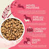 Earthborn Holistic Ancient Grains & Superfoods Unrefined Roasted Rabbit Recipe Dry Dog Food 4 lb Bag 