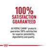 Royal Canin Canine Health Nutrition Adult in Gel Wet Dog Food - 13.5 oz Cans - Case of 12