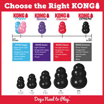 KONG Extreme Dog Toy Small
