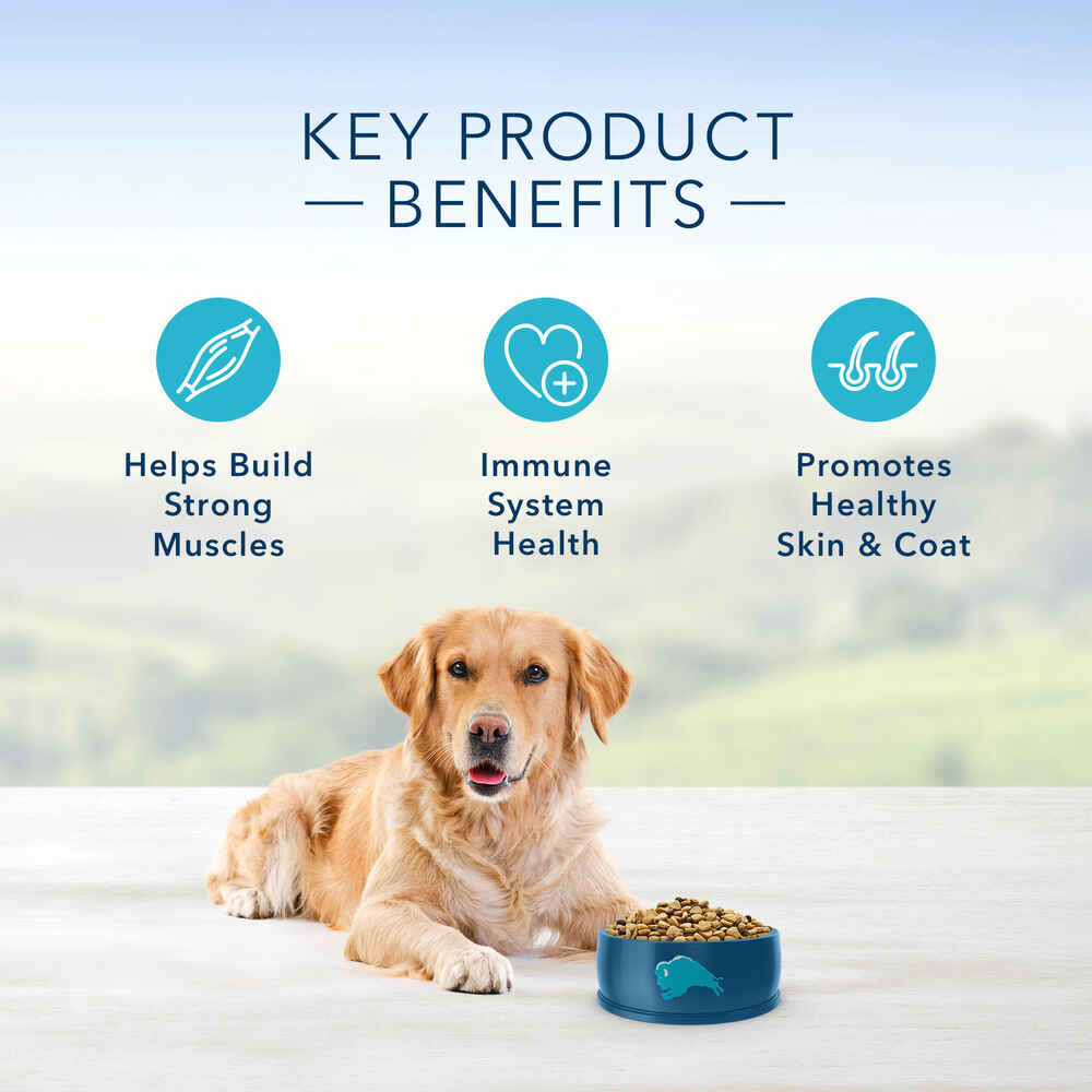 Blue Buffalo Life Protection Formula Adult Lamb & Brown Rice Recipe Dry Dog Food