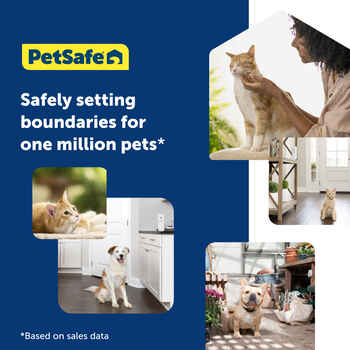PetSafe SSSCAT Motion Activated Automatic Spray Pet Deterrent