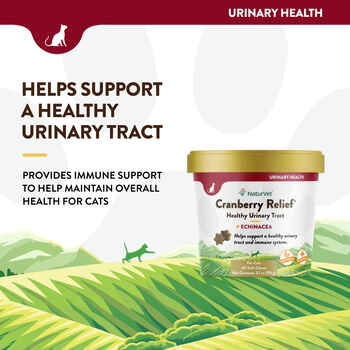 NaturVet Cranberry Relief Plus Echinacea Supplement for Cats