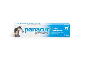 Panacur Paste Equine Dewormer 25 gm 1 pk product detail number 1.0