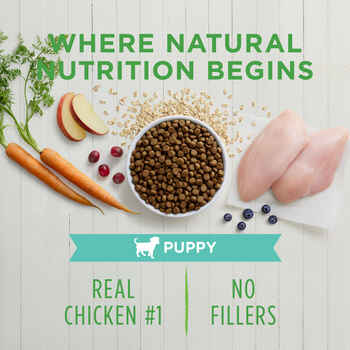 Instinct Be Natural Puppy Chicken & Brown Rice Recipe Dry Dog Food