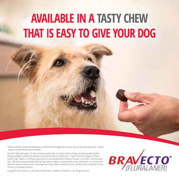 Bravecto Chews 4 Dose Toy Dog 4.4-9.9 lbs