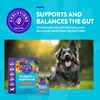 Evolutions by NaturVet Probiotic + Superfoods Dog Supplement 30 ct