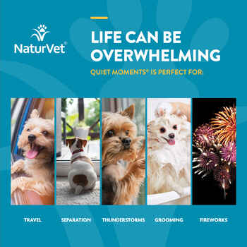 NaturVet Quiet Moments Calming Aid Plus Melatonin Supplement for Dogs