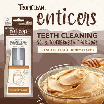 Tropiclean Enticers Teeth Gel/Toothbrush