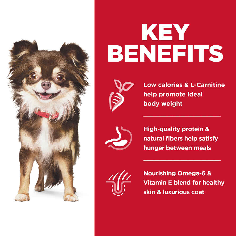 Hill's Science Diet Adult Sensitive Stomach & Skin Small & Mini Chicken Dry Dog Food