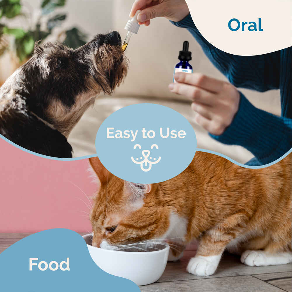 Prana Pets Intestinal Defense for Intestinal Worms and Parasites