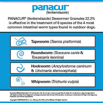 Panacur C Canine Dewormer