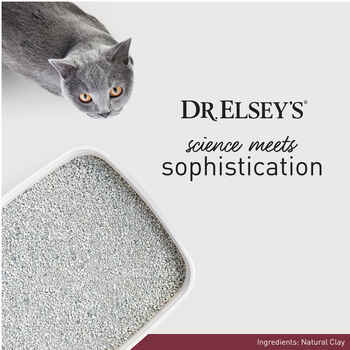 Dr. Elsey's Classic Cat Litter 18lb