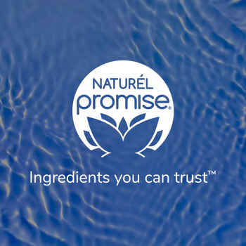 Naturel Promise Oatmeal Itch Relief Shampoo 22 oz