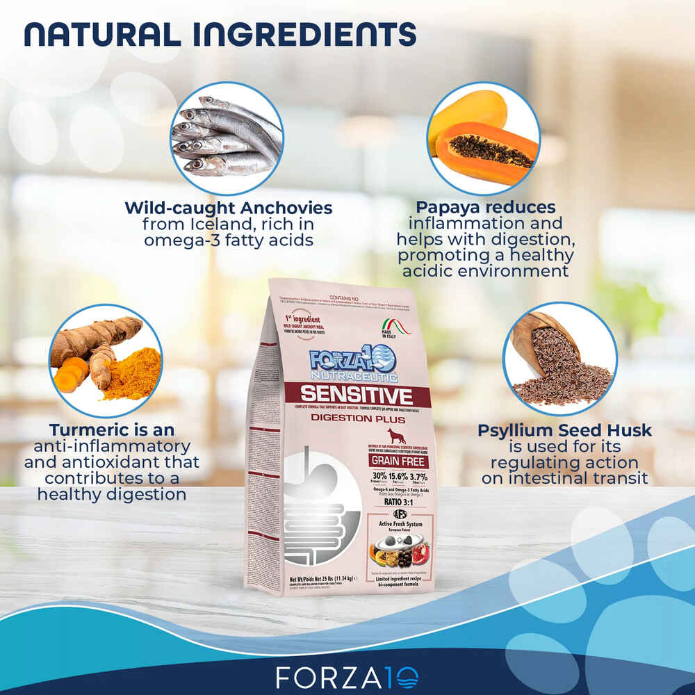 Forza10 Nutraceutic Sensitive Digestion Plus Grain Free Dry Dog Food