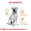 Royal Canin Breed Health Nutrition Labrador Retriever Adult Dry Dog Food - 30 lb Bag
