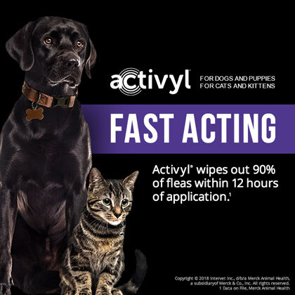 activyl flea and tick