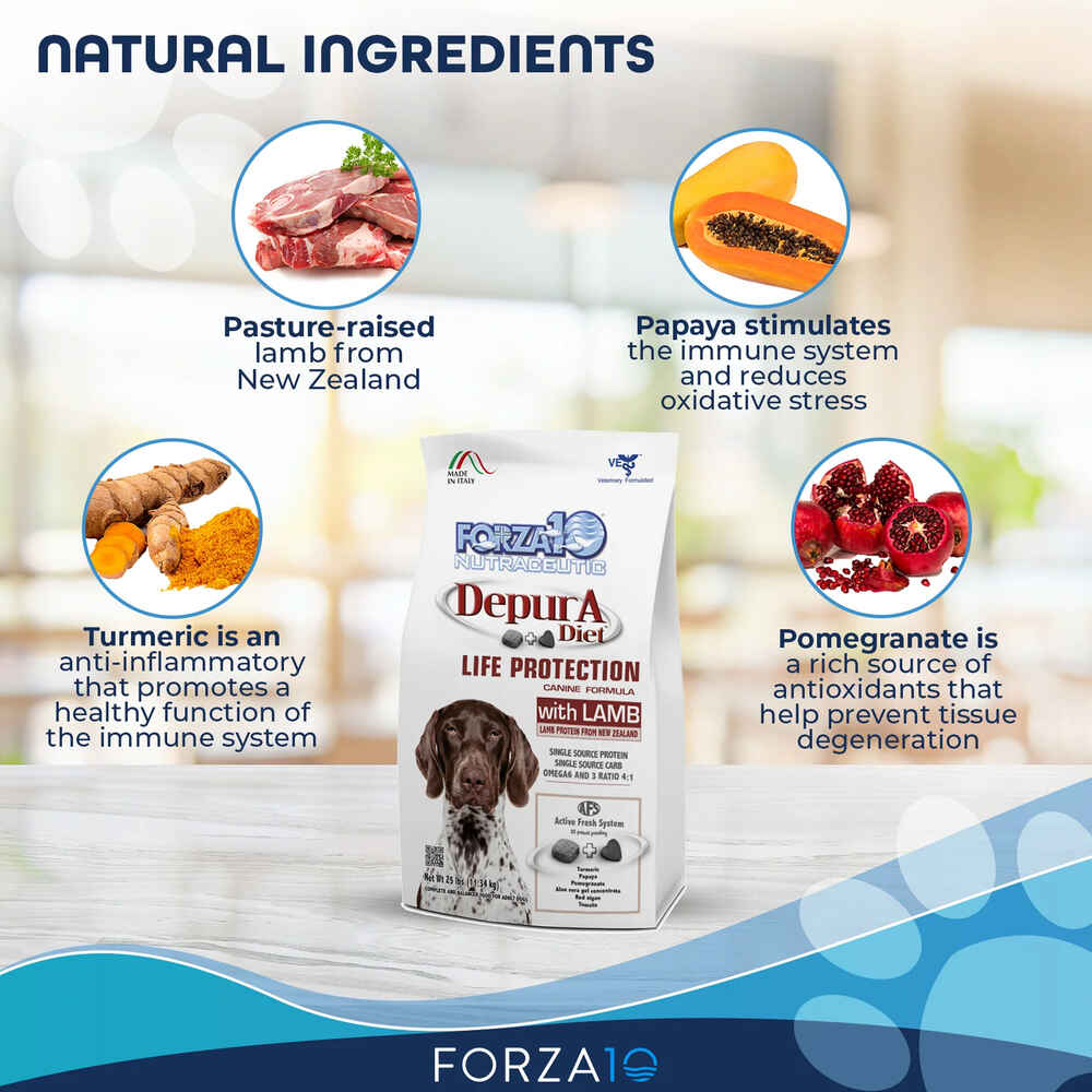 Forza10 Nutraceutic Active DepurA Diet Lamb Dry Dog Food