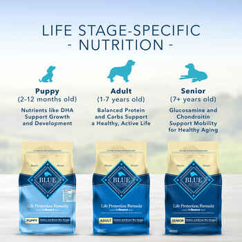 Blue Buffalo Life Protection Formula Adult Small Bite Chicken and Brown Rice Dry Dog Food 30 lb Bag
