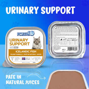 Forza10 Nutraceutic Actiwet Urinary Support Icelandic Fish Recipe Canned Cat Food 3.5oz Case of 32