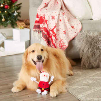 Pearhead The Real Santa Claus Dog Toy
