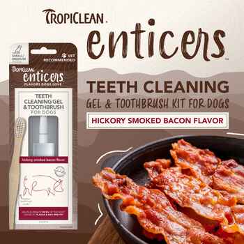 Tropiclean Enticers Teeth Gel/Toothbrush For S/M Dog - Hick/Bacon  2oz