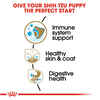 Royal Canin Breed Health Nutrition Shih Tzu Puppy Dry Dog Food - 2.5 lb Bag