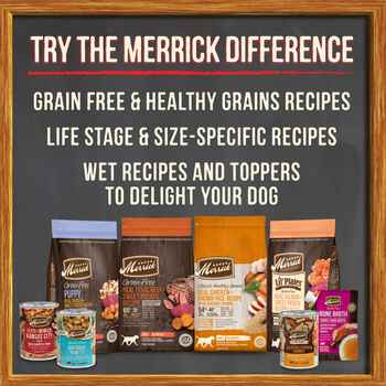 Merrick Grain Free 96% Real Duck Canned Dog Food 12.7-oz, Case of 12