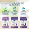 Blue Buffalo BLUE Basics Adult Skin & Stomach Care Grain-Free Salmon & Potato Recipe Dry Dog Food 4 lb Bag