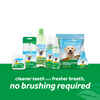 TropiClean Fresh Breath Oral Care Fresh Mint Foam 4.5 oz