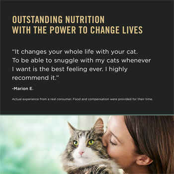 Purina Pro Plan LiveClear Allergen Reducing Formula Dry Cat Food