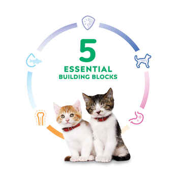 Hill's Science Diet Kitten Healthy Cuisine Tender Chicken & Rice Medley Wet Cat Food - 2.8 oz Cans - Case of 24