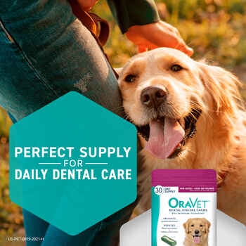 OraVet Dental Hygiene Chews Large 30 ct